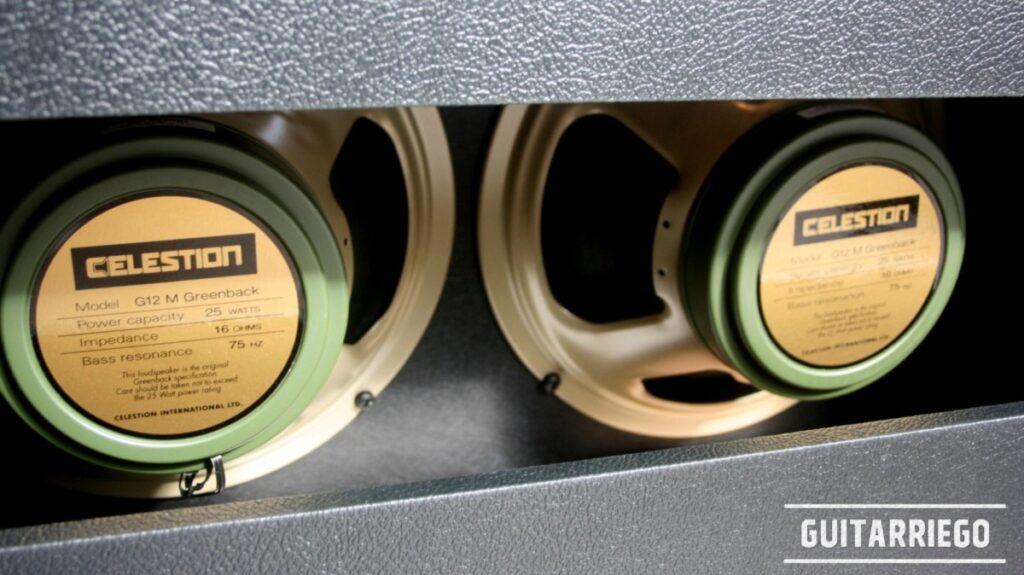 Un gabinete de 2x12 con dos reedición Celestion Greenback G12M con 25 vatios de potencia nominal.