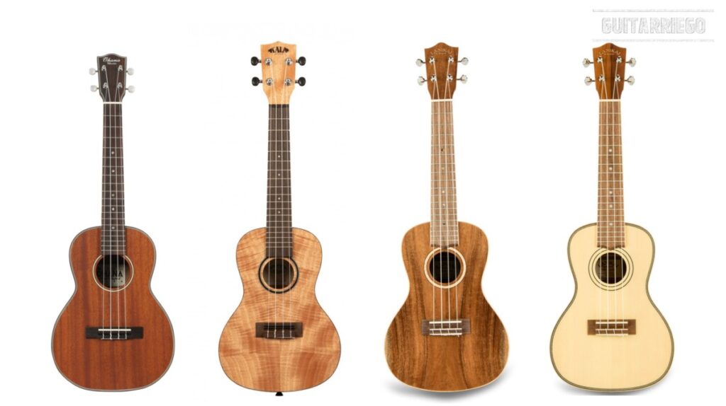 El tamaño del ukelele de concierto está entre el Ukes soprano y tenor.