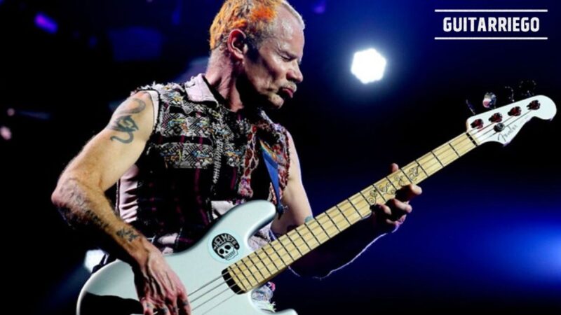Les meilleurs bassistes de tous les temps